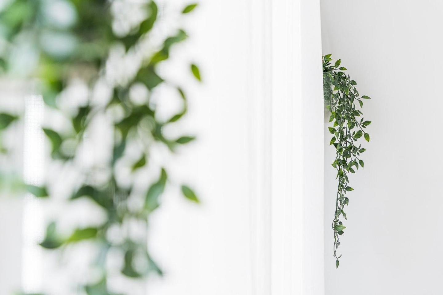 Guestready - Modern Cosy Apartment With A Terrace Porto Exteriér fotografie